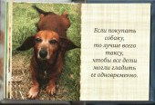 Собака друг 34
